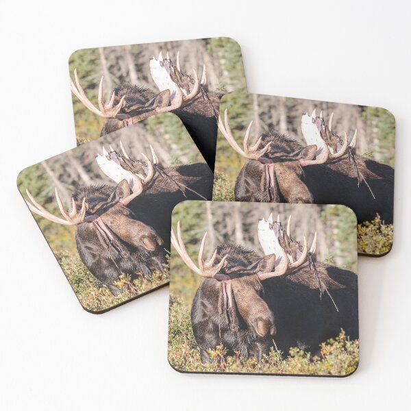 Item preview, Shedding Moose designed and sold by Gary Gray.