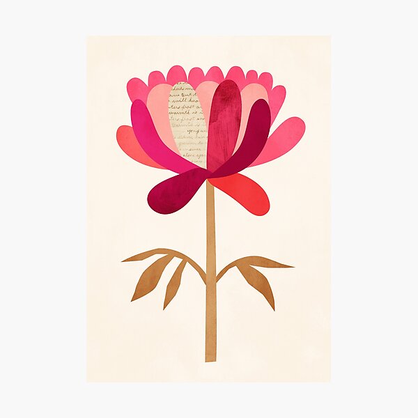 Pink Peony Photographic Print
