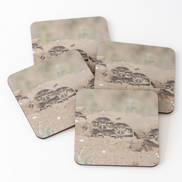 Item preview, Burrowing Owls designed and sold by Gary Gray.