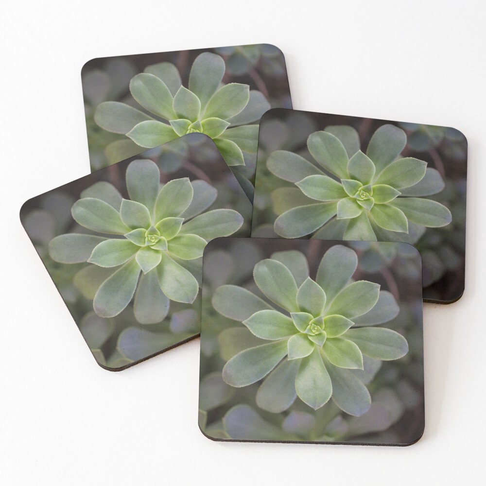 Zen Is Green Coasters (Set of 4)