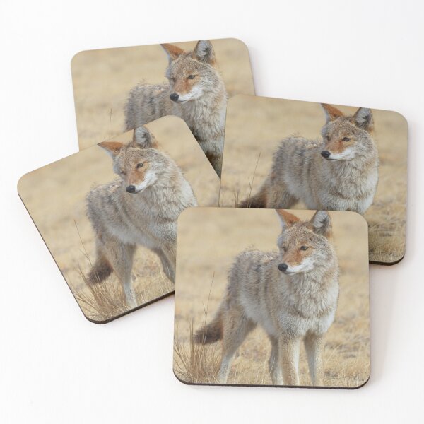 Item preview, Wild Coyote designed and sold by Gary Gray.