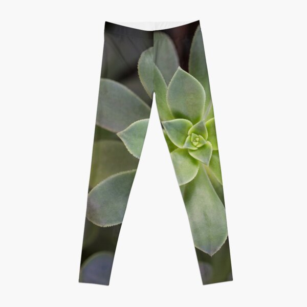 Zen Is Green Leggings