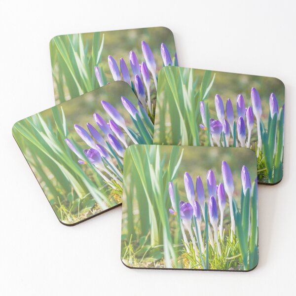 Item preview, Saffron Crocus flower opening in spring season designed and sold by Grégory DUBUS.