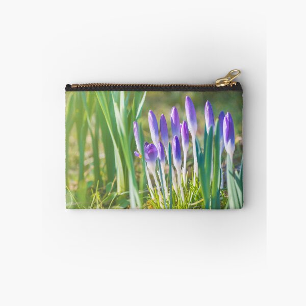 Item preview, Saffron Crocus flower opening in spring season designed and sold by Grégory DUBUS.