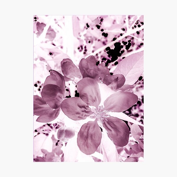 Item preview, Blossoming designed and sold by Jessie Williams.