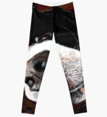 Sleeping Does Lie Leggings