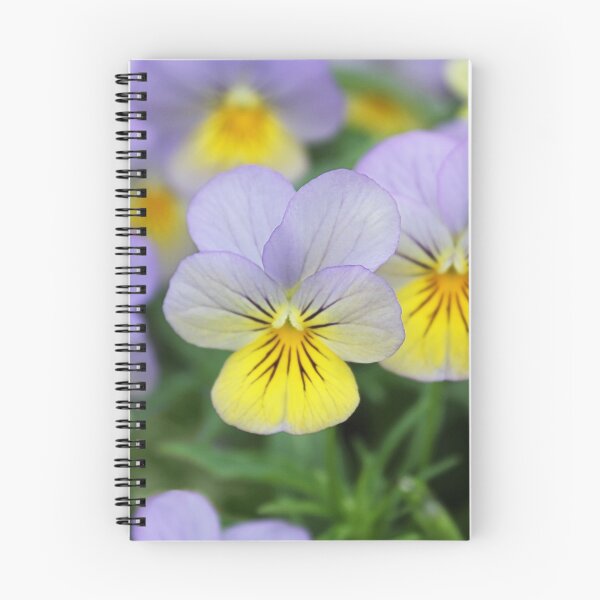 Item preview, Italian Garden photography - Pansy designed and sold by designenrich.