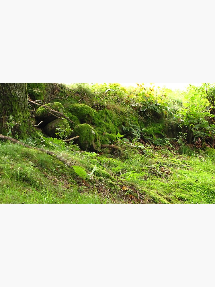 Tarjetas De Felicitacion Naturaleza Animada De Artofe Redbubble