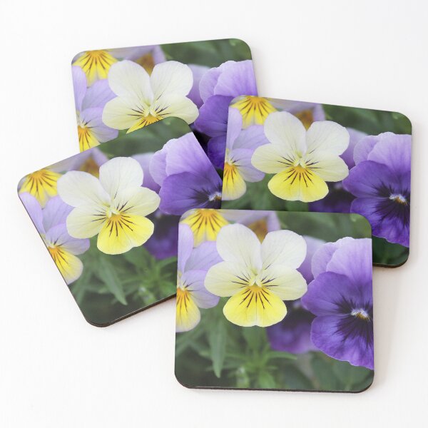 Italian Garden Photography - Purple & Yellow Pansy Coasters (Set of 4)
