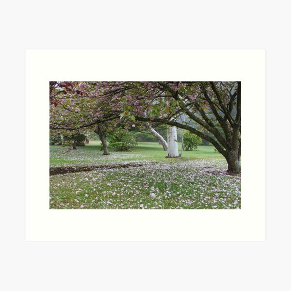 Item preview, Neate Park designed and sold by Geoff Smith.