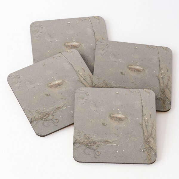 Item preview, Sea-Made Stillife designed and sold by ArtOfE.