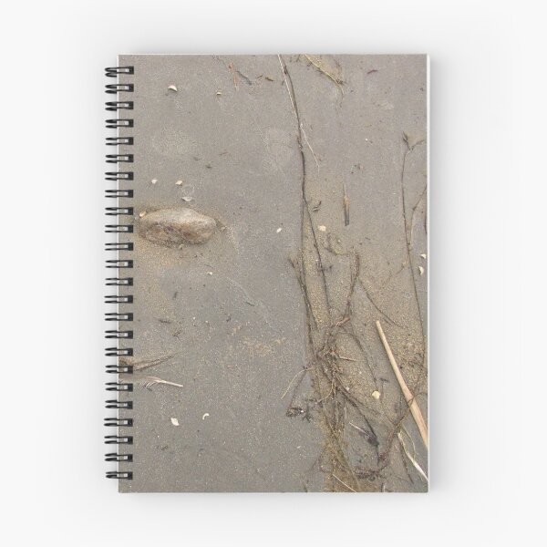 Item preview, Sea-Made Stillife designed and sold by ArtOfE.