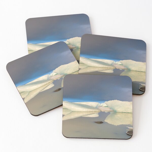 Item preview, Iceland in winter: stunning icebergs reflected in a lake designed and sold by VadimK.