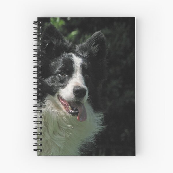 Item preview, Ready when you are. designed and sold by Jennifer Bradford.