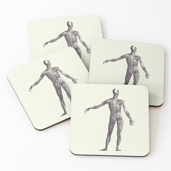 Item preview, Human Muscular System - Vintage Anatomy Poster 2 designed and sold by VAposters.