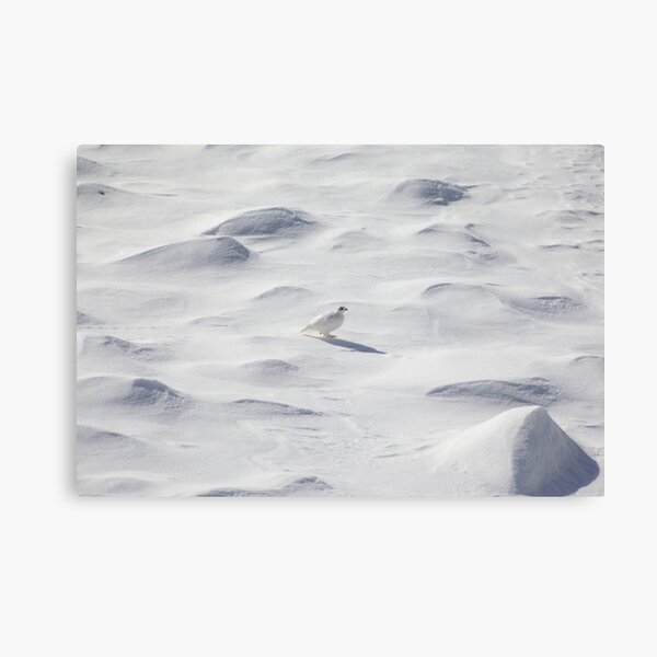 Item preview, White ptarmigan designed and sold by zumi.