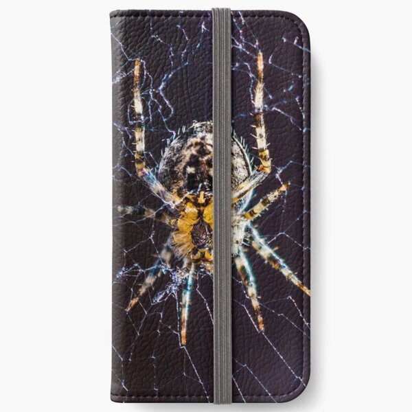 Spider, Insect and Bugs, Stunning Image iPhone Wallet