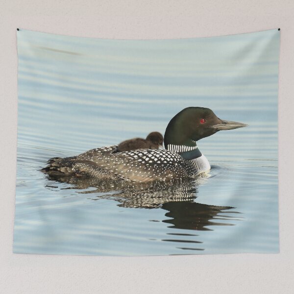 Item preview, Sleepy baby loon designed and sold by Inlovewithloons.