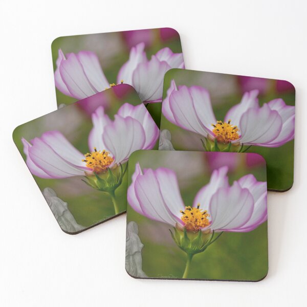 Item preview, Contemplating Beauty designed and sold by TLWilsonPhoto.