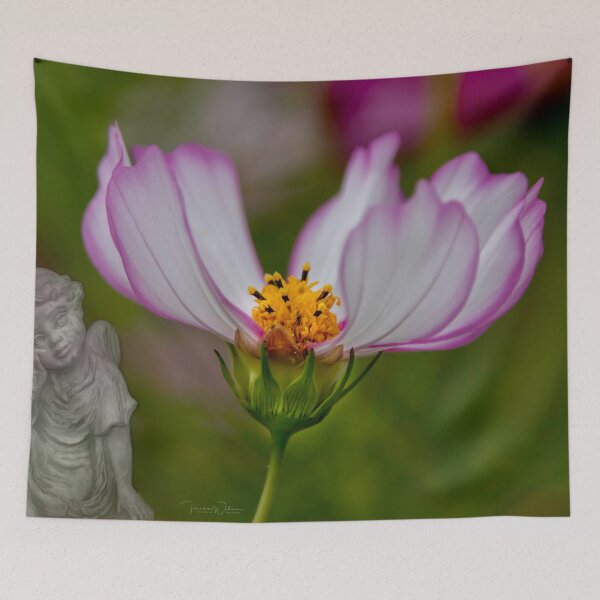 Item preview, Contemplating Beauty designed and sold by TLWilsonPhoto.