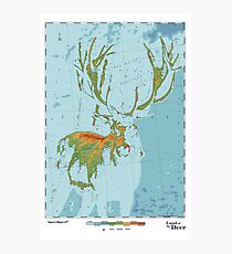 Cervidae - Land of the Deer Photographic Print