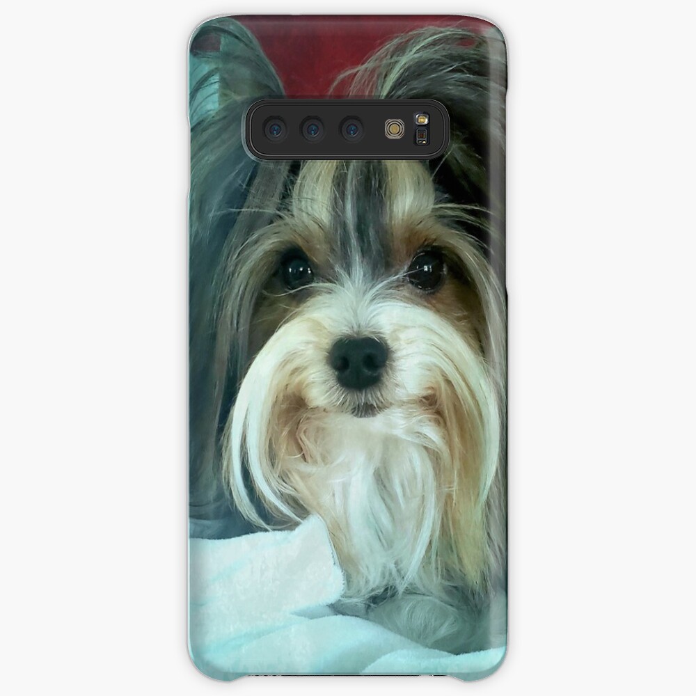 Coque et skin adhésive Samsung Galaxy « Biewer »