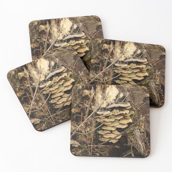 Item preview, Bracket Fungi designed and sold by pinkal.