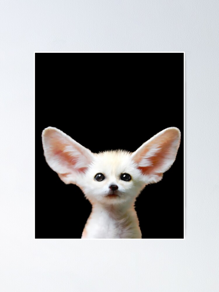 "Fennec Fox _ The Endangered" Poster for Sale by JanineOG | Redbubble