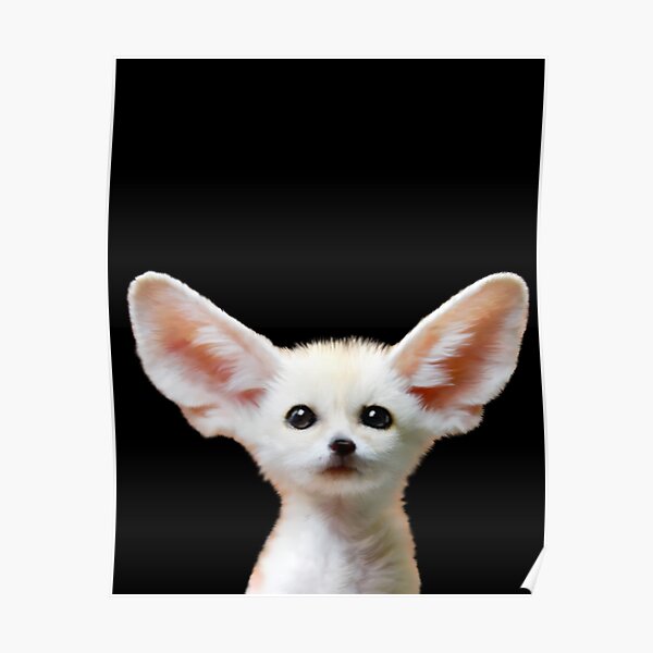 Baby Fox Posters Redbubble