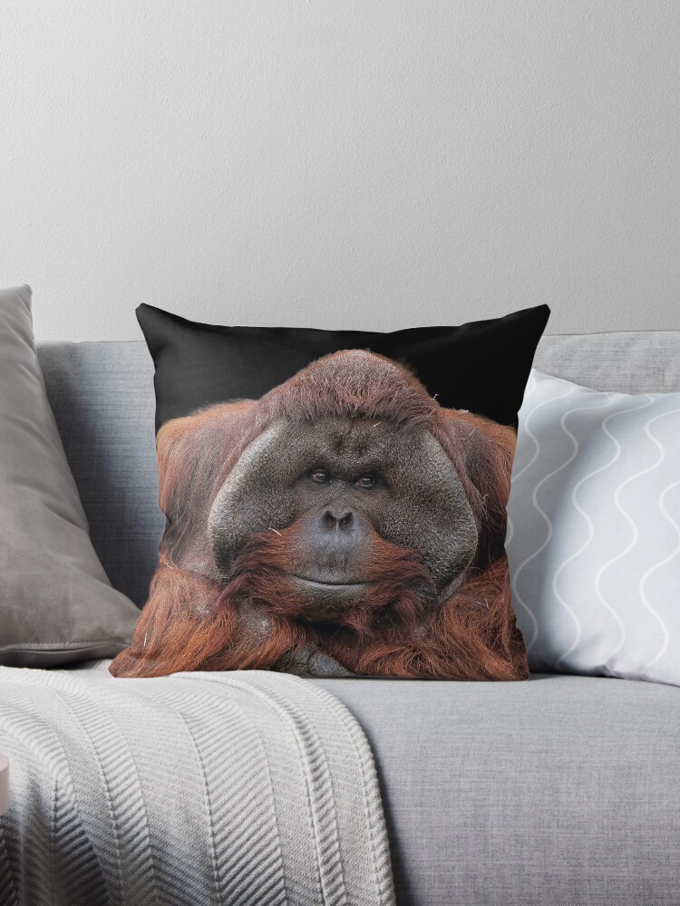 orangutan body pillow