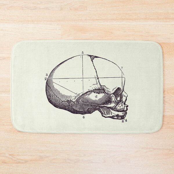 Item preview, Human Skull - Side View - Vintage Anatomy 2 designed and sold by VAposters.