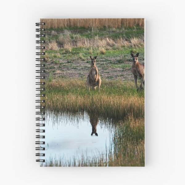 Item preview, Kangaroos at Grandpa's farm designed and sold by Bevlyn.