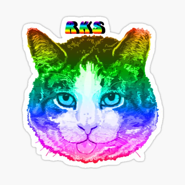 "Rainbow Kitten Surprise Kitty" Sticker by bitetheolivez | Redbubble