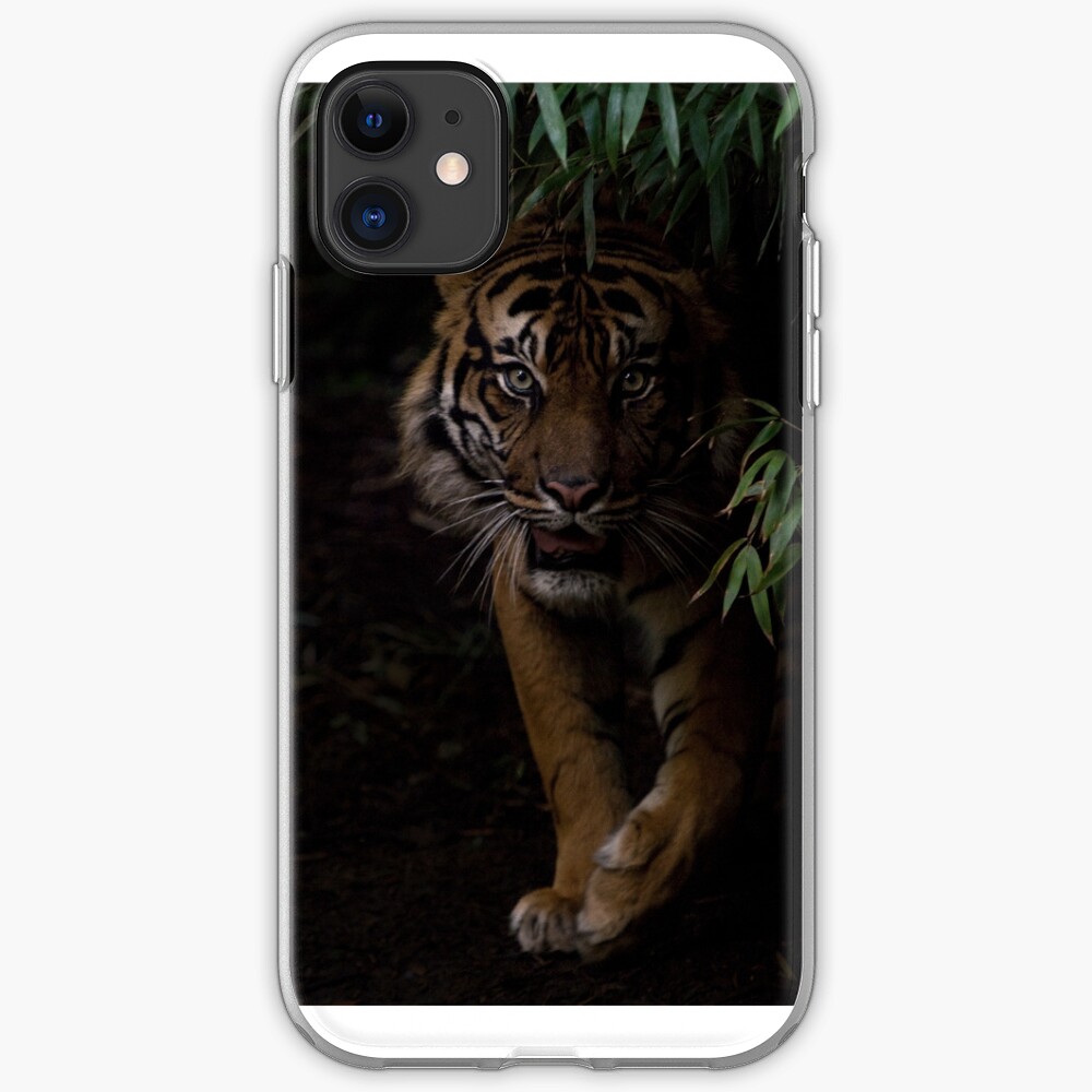 Sumatran Tiger iPhone Cover iPhone Case & Cover