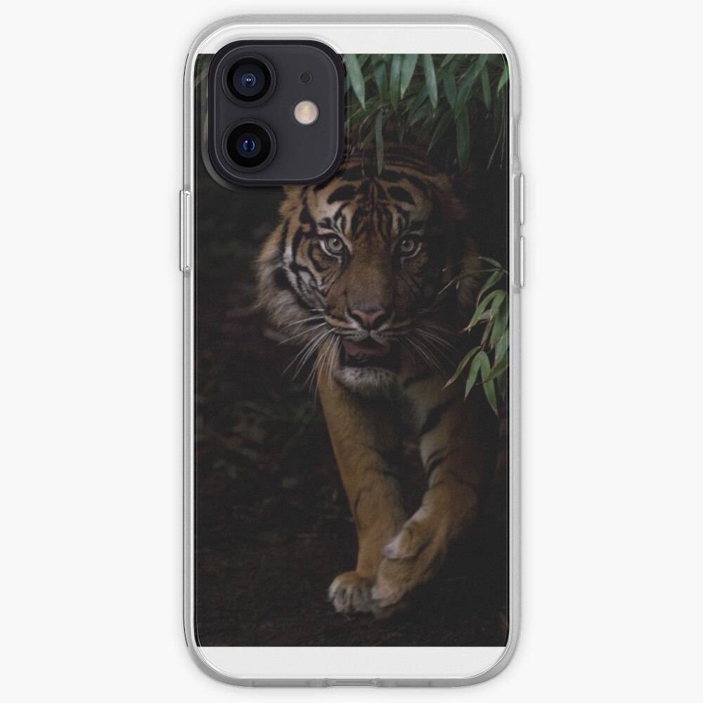 Sumatran Tiger iPhone Cover iPhone Case & Cover