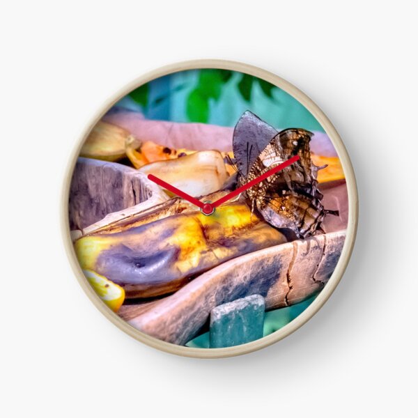 Butterfly, Stunning Image Clock