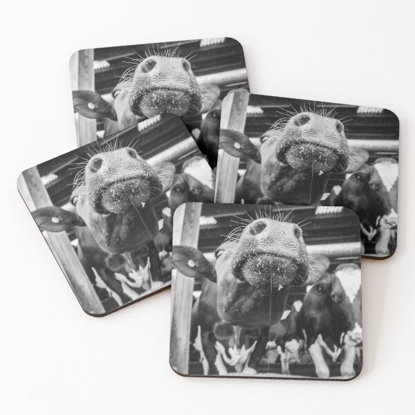 Item preview, Cow Nose in Black and White designed and sold by HoneyBee73.