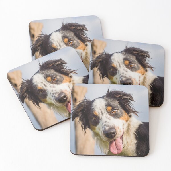 Artikelvorschau, Hallo Collie entworfen und verkauft von HoneyBee73.