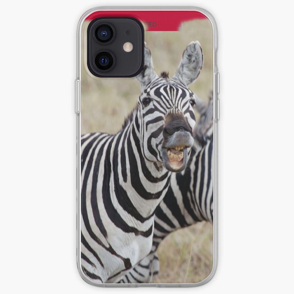 Laughing Zebra iPhone cover iPhone Case & Cover