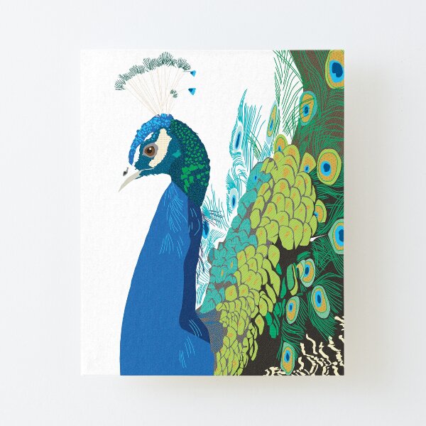 Peacock Bird Feathers Blue Green Canvas Mounted Print