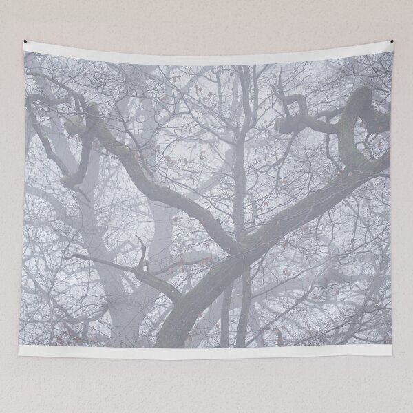 Item preview, Foggy Days 1: Gnarled designed and sold by ShinyPhoto.
