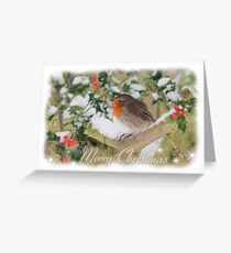 Holly & Robin Christmas Card Greeting Card