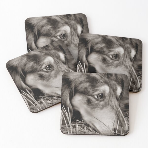 Item preview, Weary dog designed and sold by Laurie Minor.