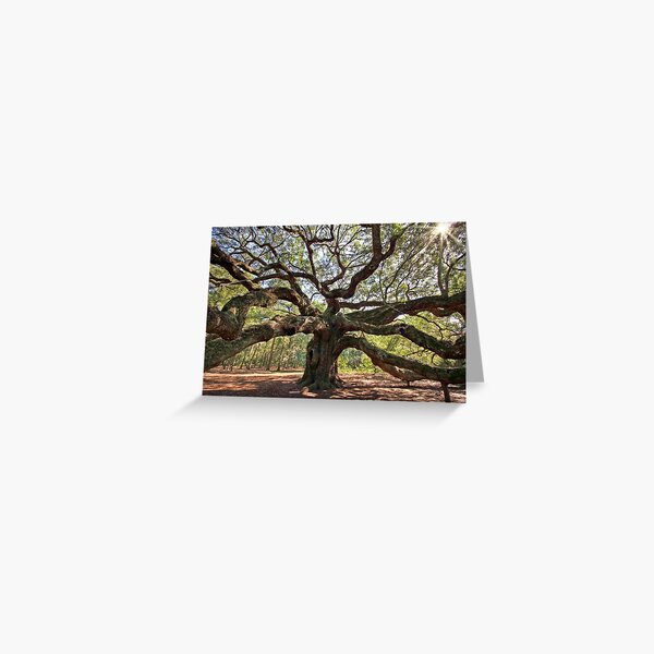 The Angel Oak Greeting Card