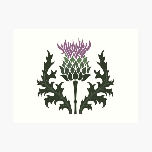 Scottish Thistle Flower of Scotland Art Print