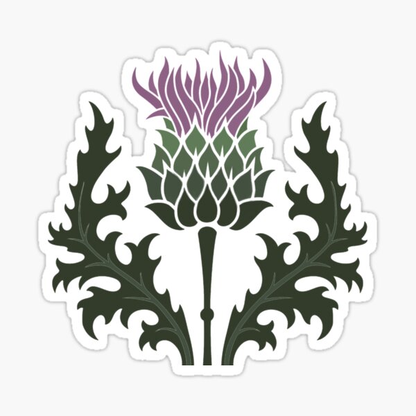 Scottish Thistle Flower of Scotland Sticker