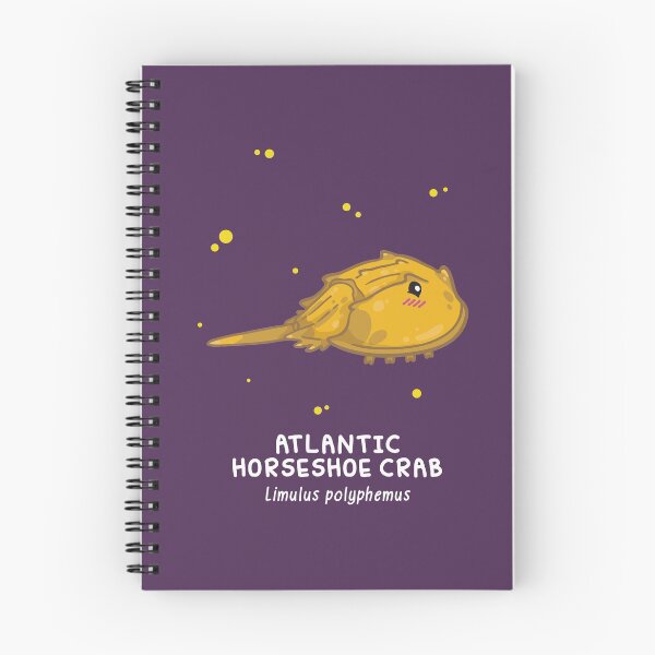 Item preview, Atlantic Horseshoe Crab (Huevember 2018) designed and sold by bytesizetreas.