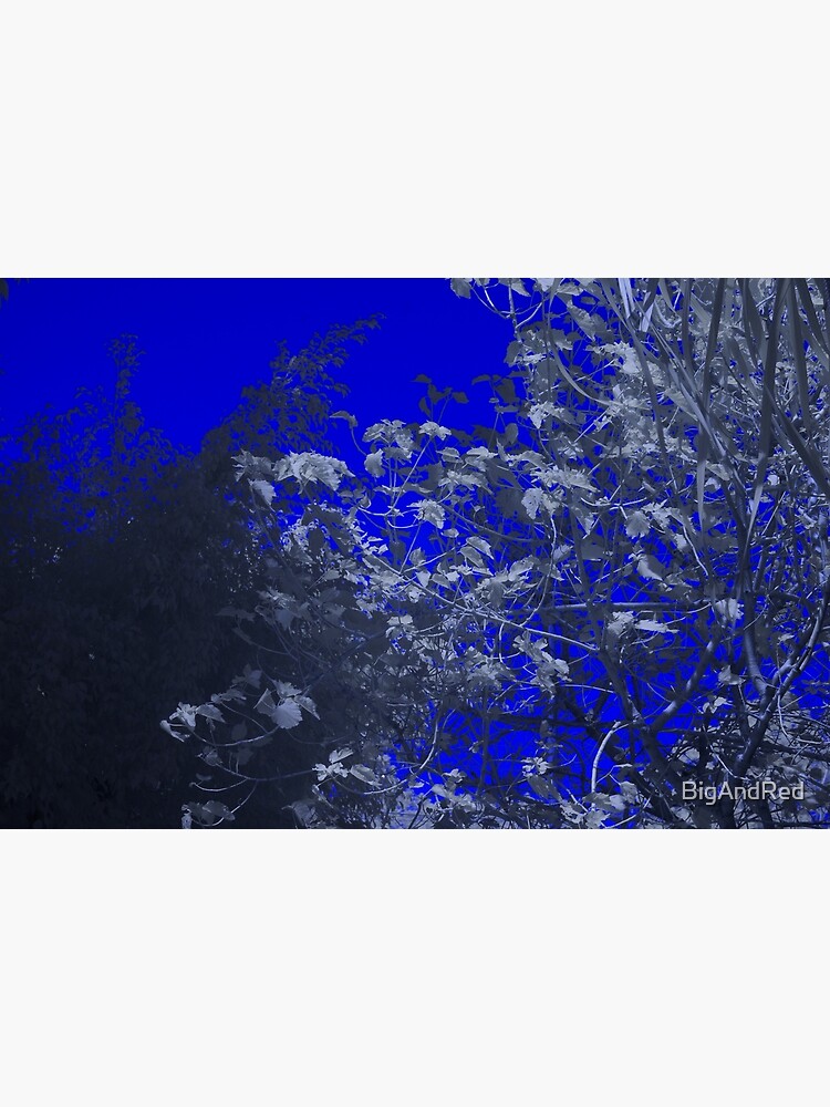 Uv And Ir Pass Filter On Full Spectrum Camera Postcard By Bigandred Redbubble