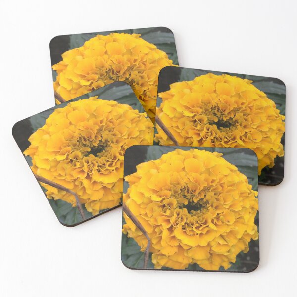 Item preview, Marigolds  designed and sold by Natslocks92492.