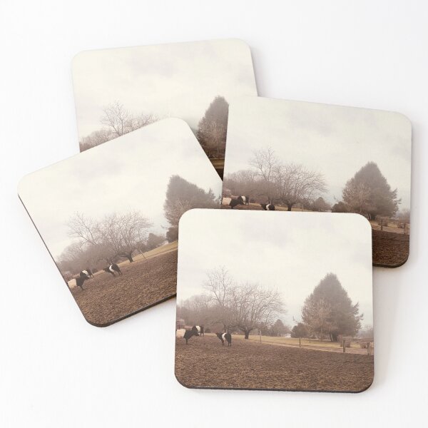 Item preview, Belted Galloway cows in Ellington, CT designed and sold by Paintingladycat.
